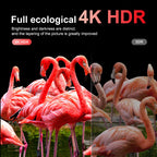 Android TV 32 inch Smart TV 43 inch LED Television 32/43/50 inch With WiFi/YouTube/MYTV/Netflix/Hdmi